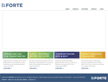 Tablet Screenshot of forteintax.com